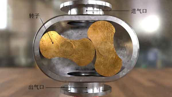 罗茨鼓风机(叶片泵)的结构